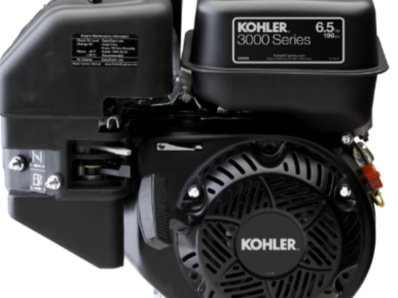 Motores Serie 3000 KOHLER SH265
